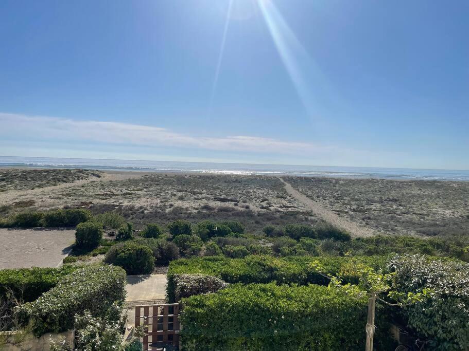 Port Leucate : Superbe Appartement Pleine Vue Mer 外观 照片